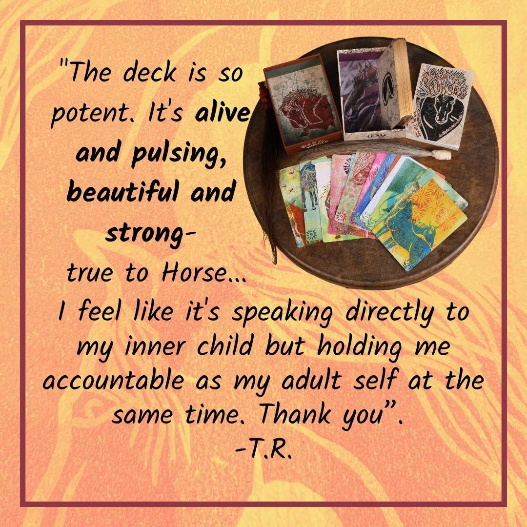 Bless the Horses - Equine Wisdom Deck