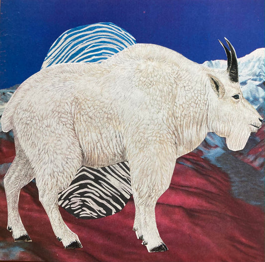 Archival "Environmental" Series Prints