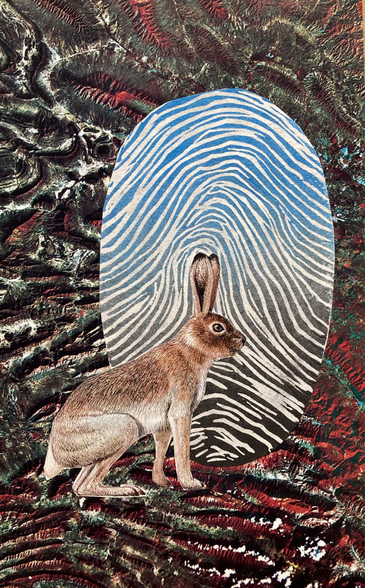 Archival "Environmental" Series Prints