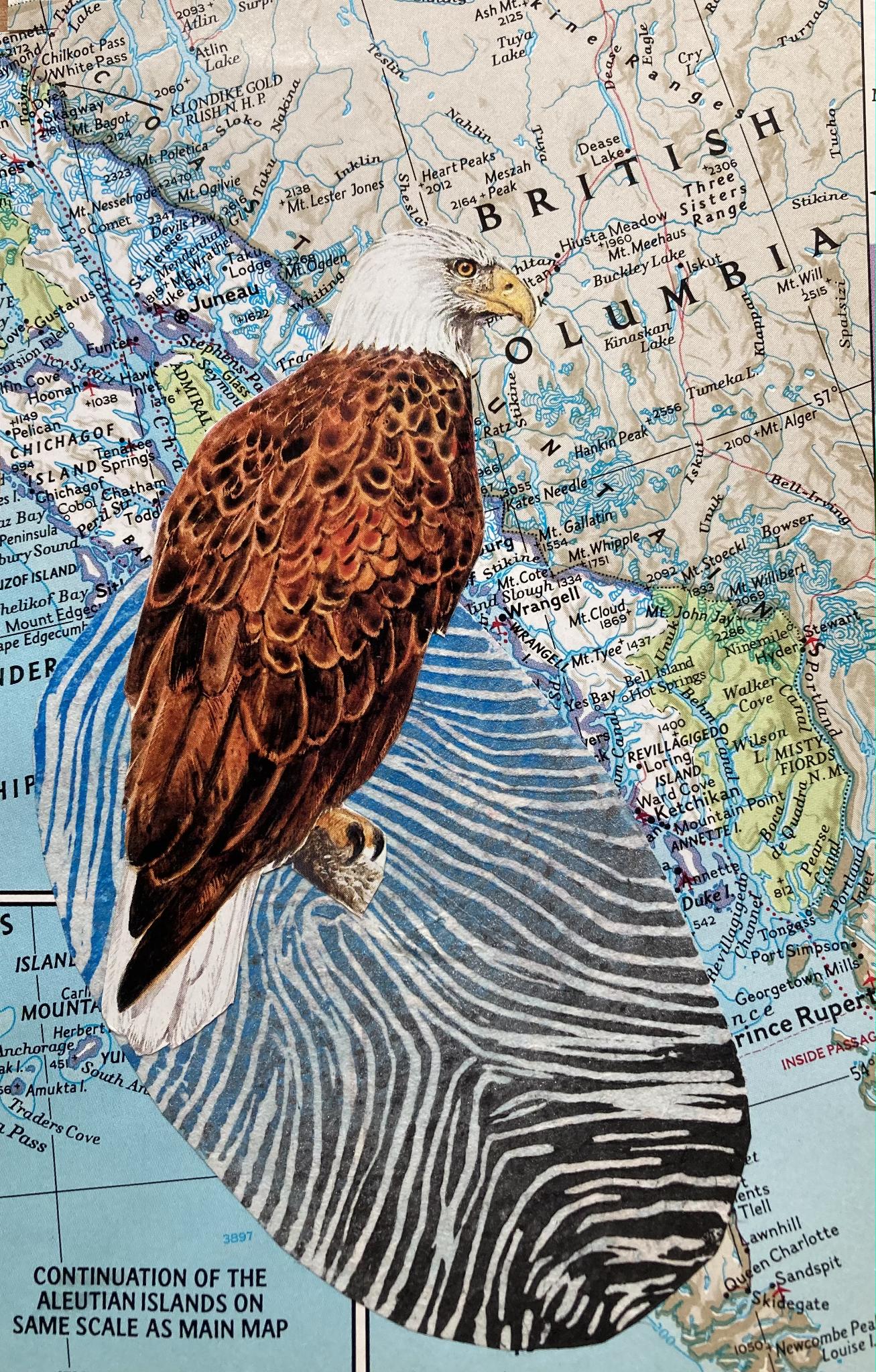 Archival "Environmental" Series Prints