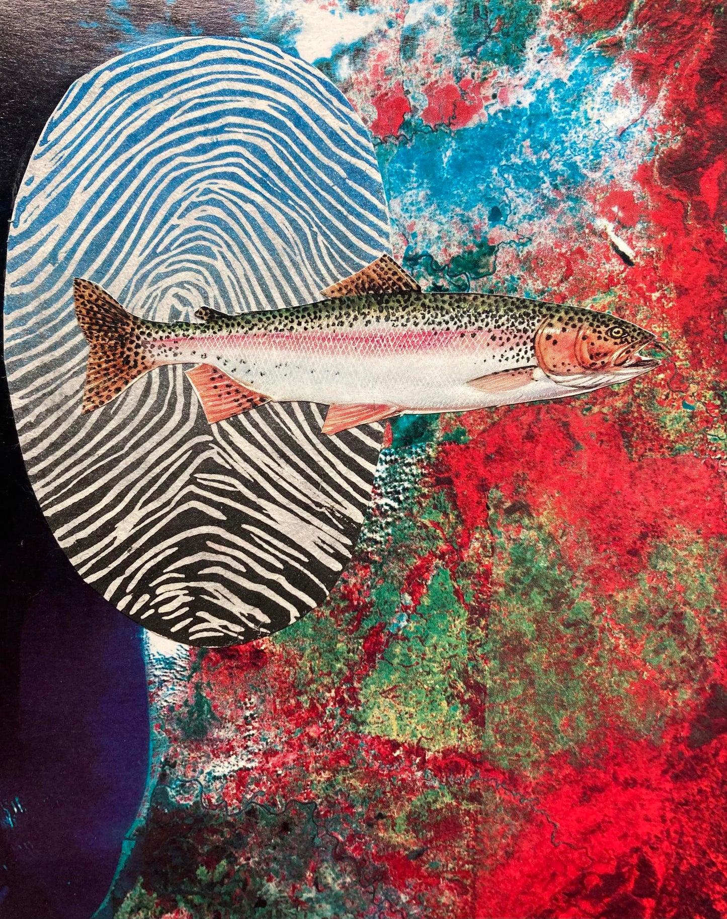 Archival "Environmental" Series Prints