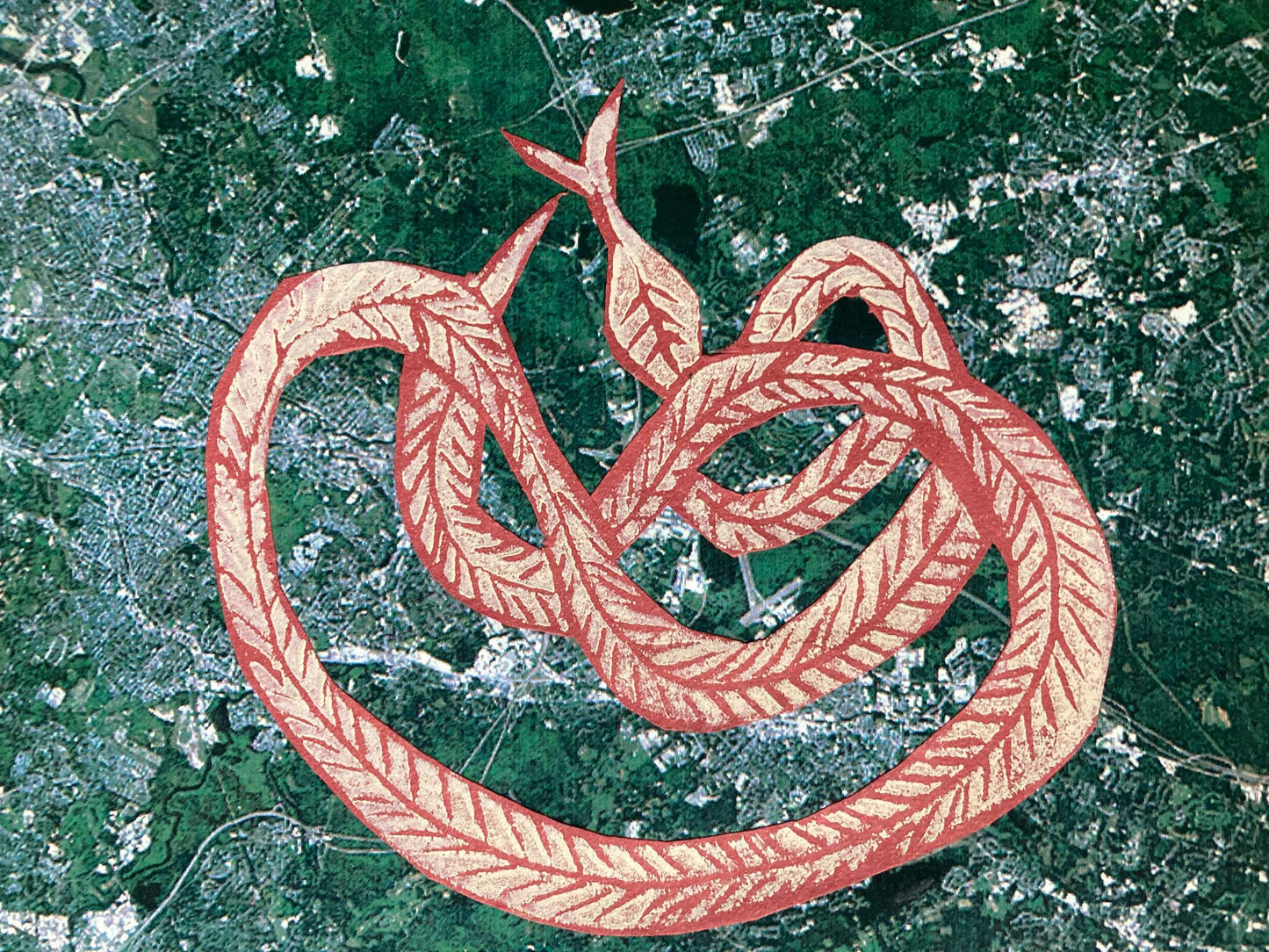 "Twisting Red Snake" Print